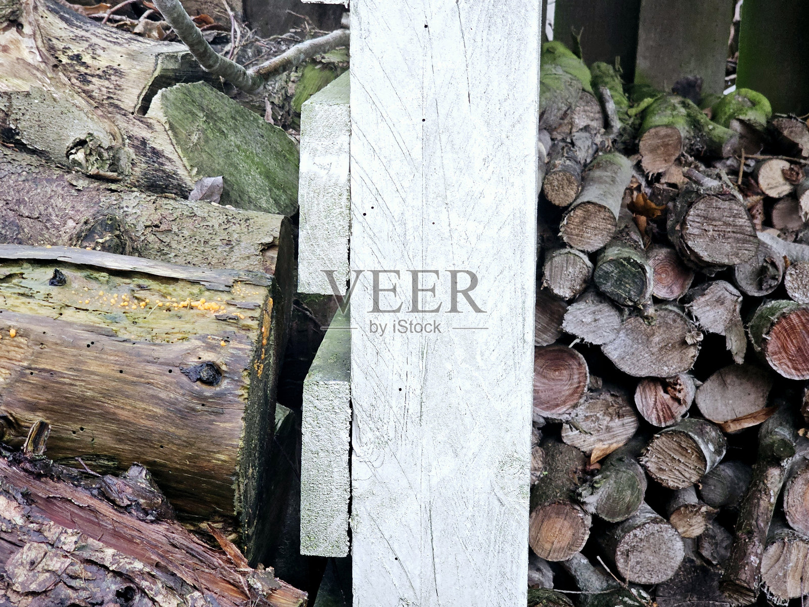 美丽的丹麦夏季别墅照片摄影图片