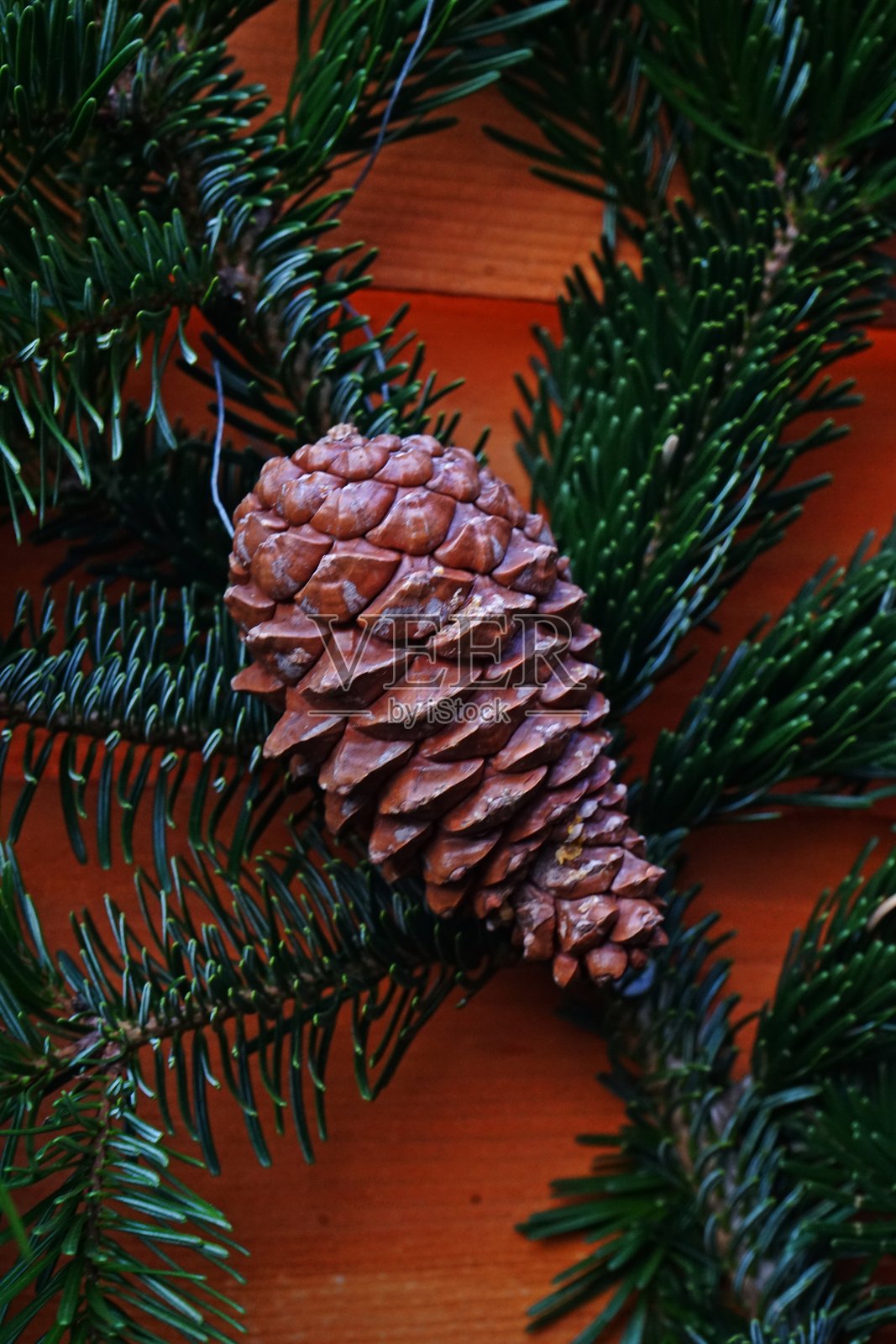 松果特写照片摄影图片