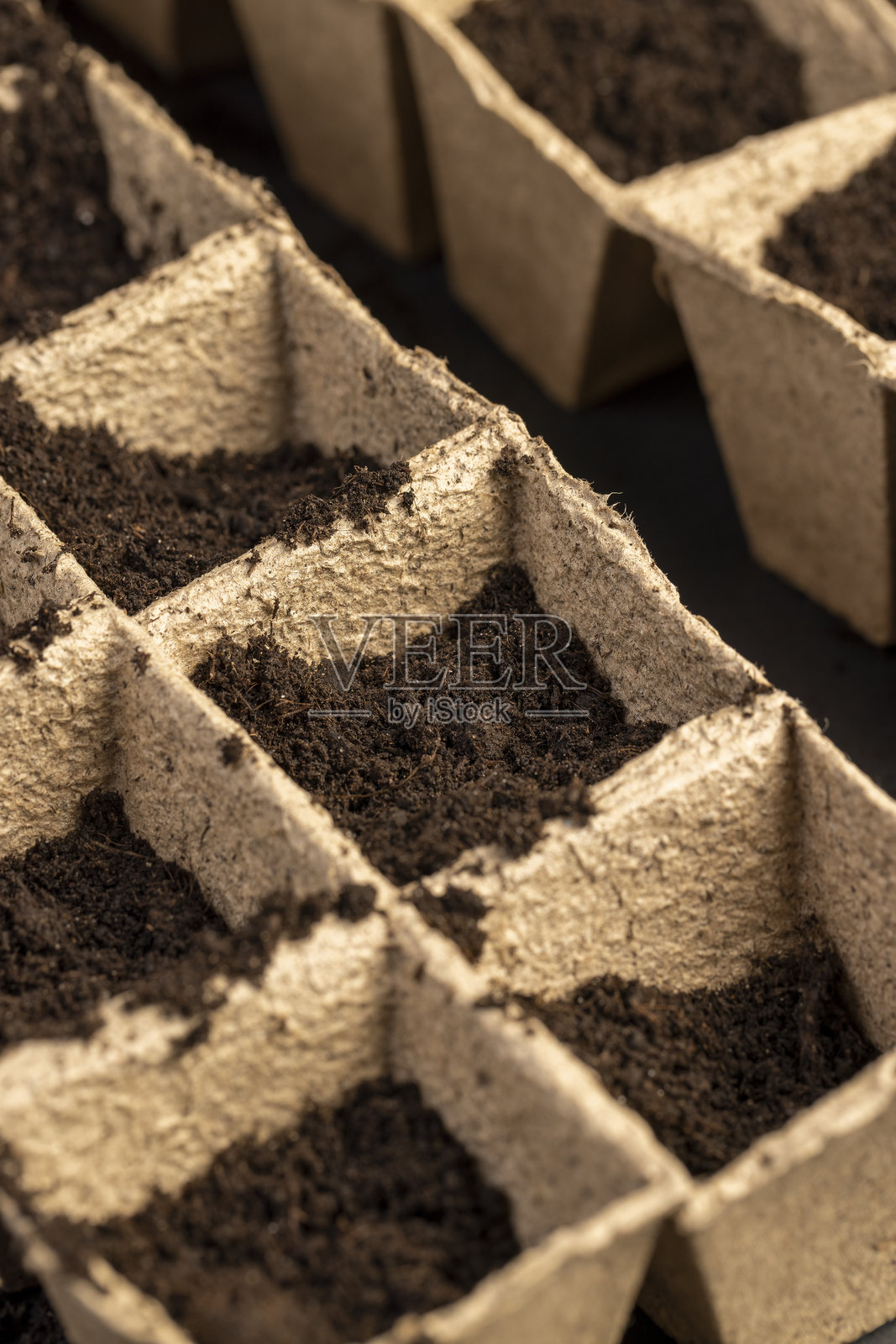 用于幼苗的纸杯和肥沃土壤照片摄影图片