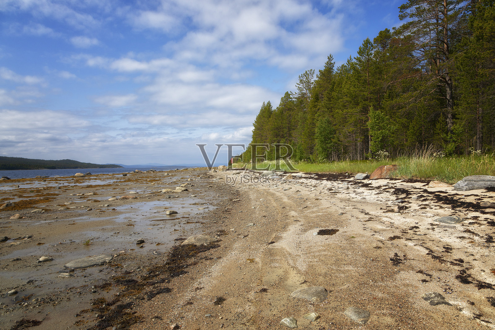白海的潮间带在夏季低潮时照片摄影图片