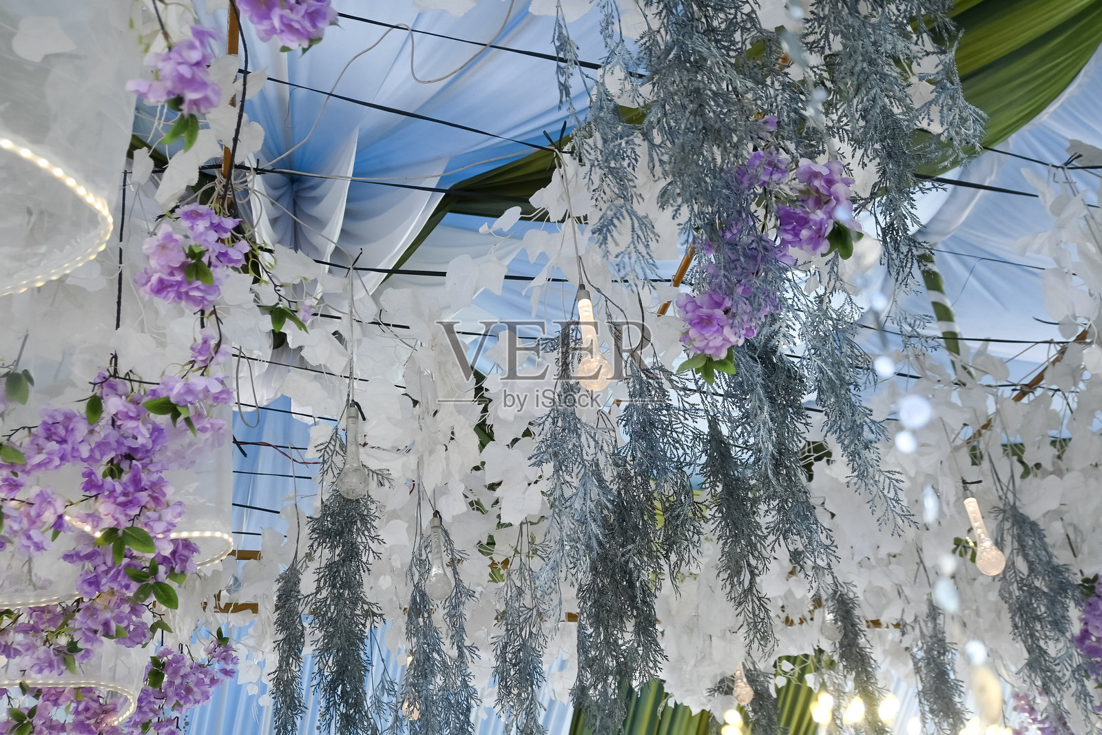 装饰性花卉照片摄影图片