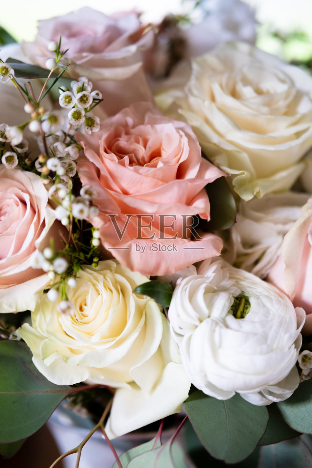 腼腆的花朵：优雅的粉色、白色和黄色婚礼花卉——玫瑰和满天星照片摄影图片