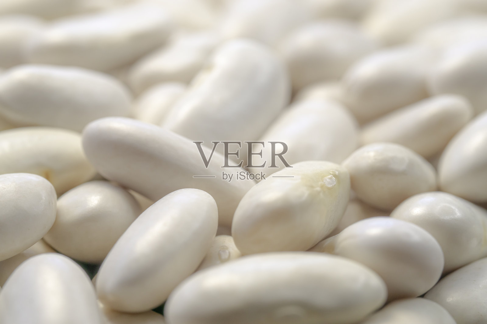 干燥的生白豆种子特写。照片摄影图片