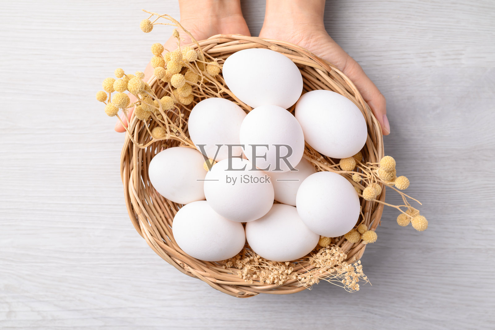 白色背景上手中托着的装有白色鸡蛋的篮子照片摄影图片