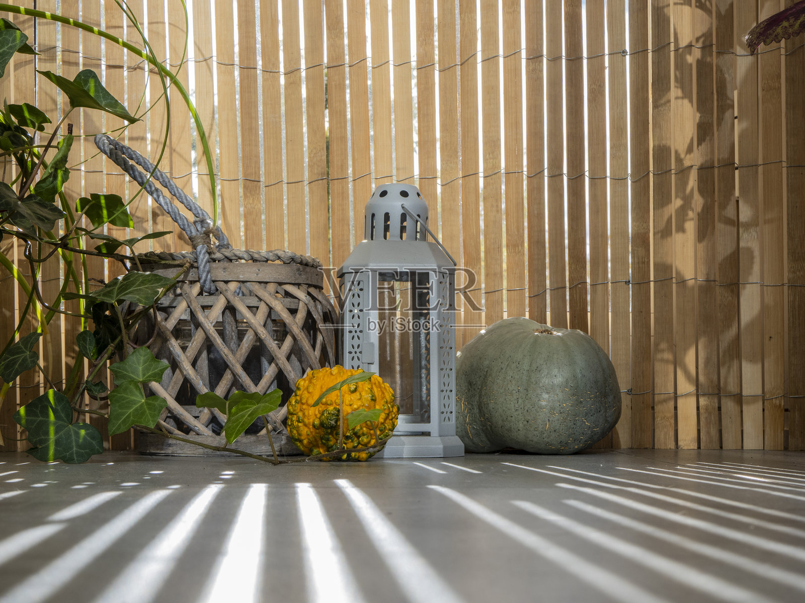 自然光下的装饰灯笼与秋季南瓜和竹子背景照片摄影图片