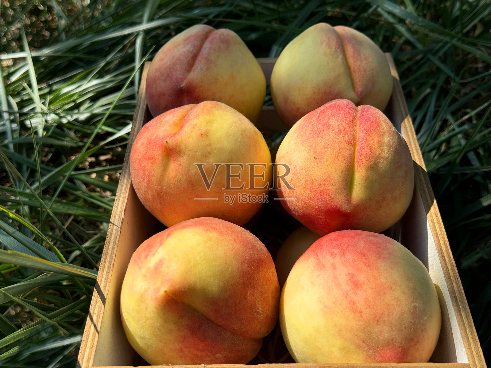 新鲜的桃子装在箱子里照片摄影图片
