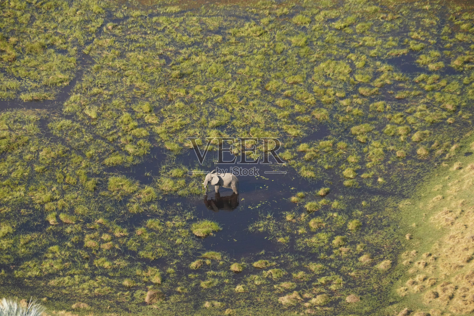 博茨瓦纳奥卡万戈三角洲上空的飞行照片摄影图片