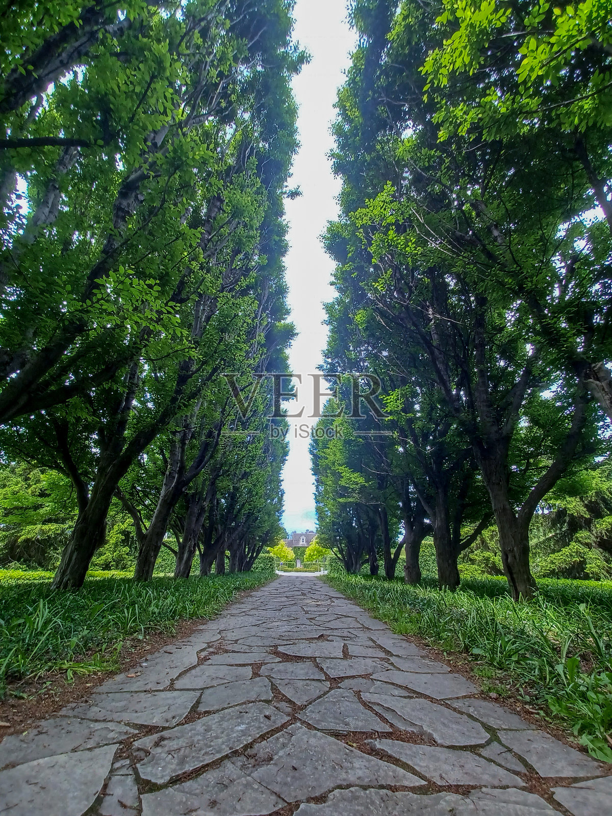 尼亚加拉公园植物园照片摄影图片