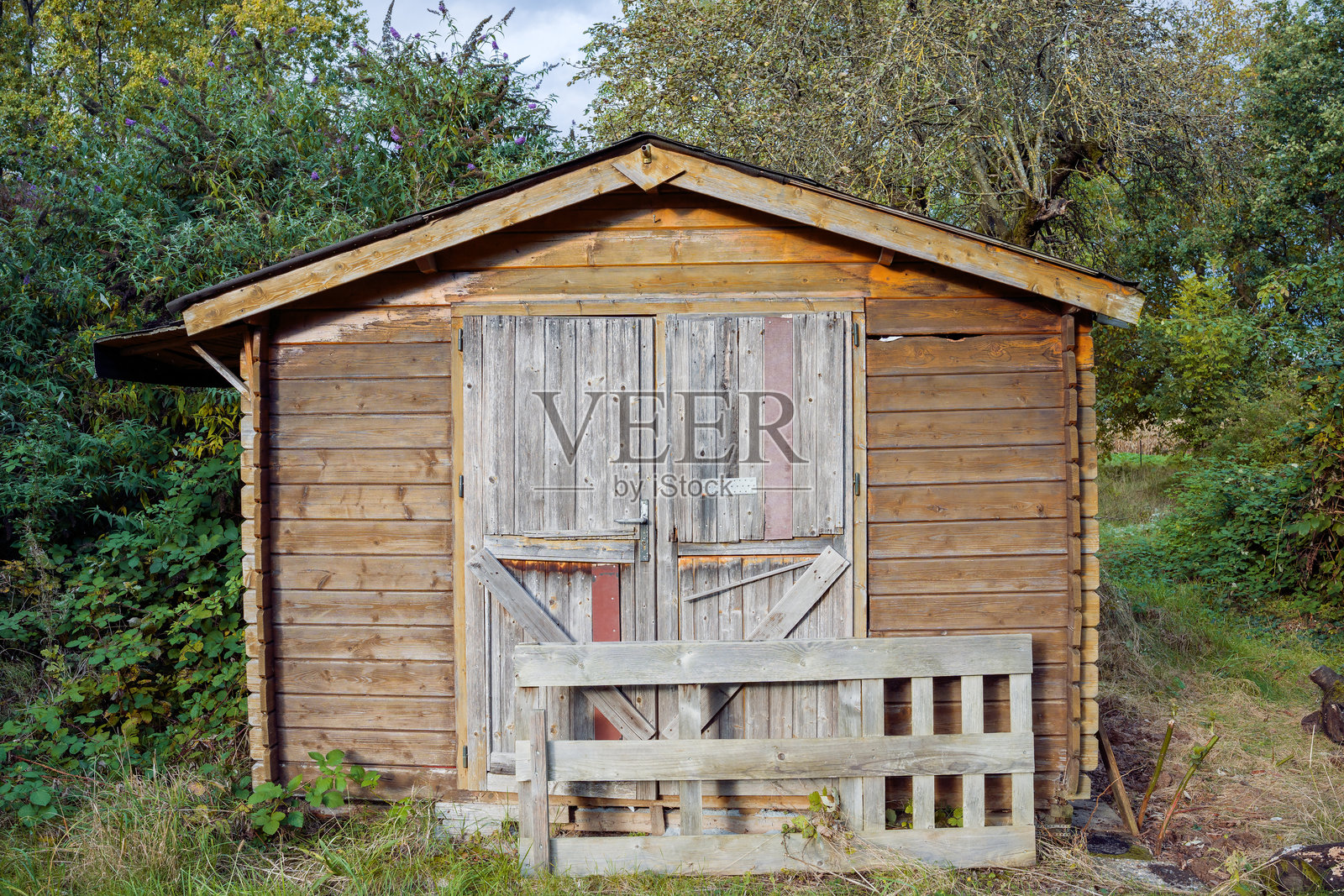 一座位于杂草丛生花园中的乡村木棚。照片摄影图片