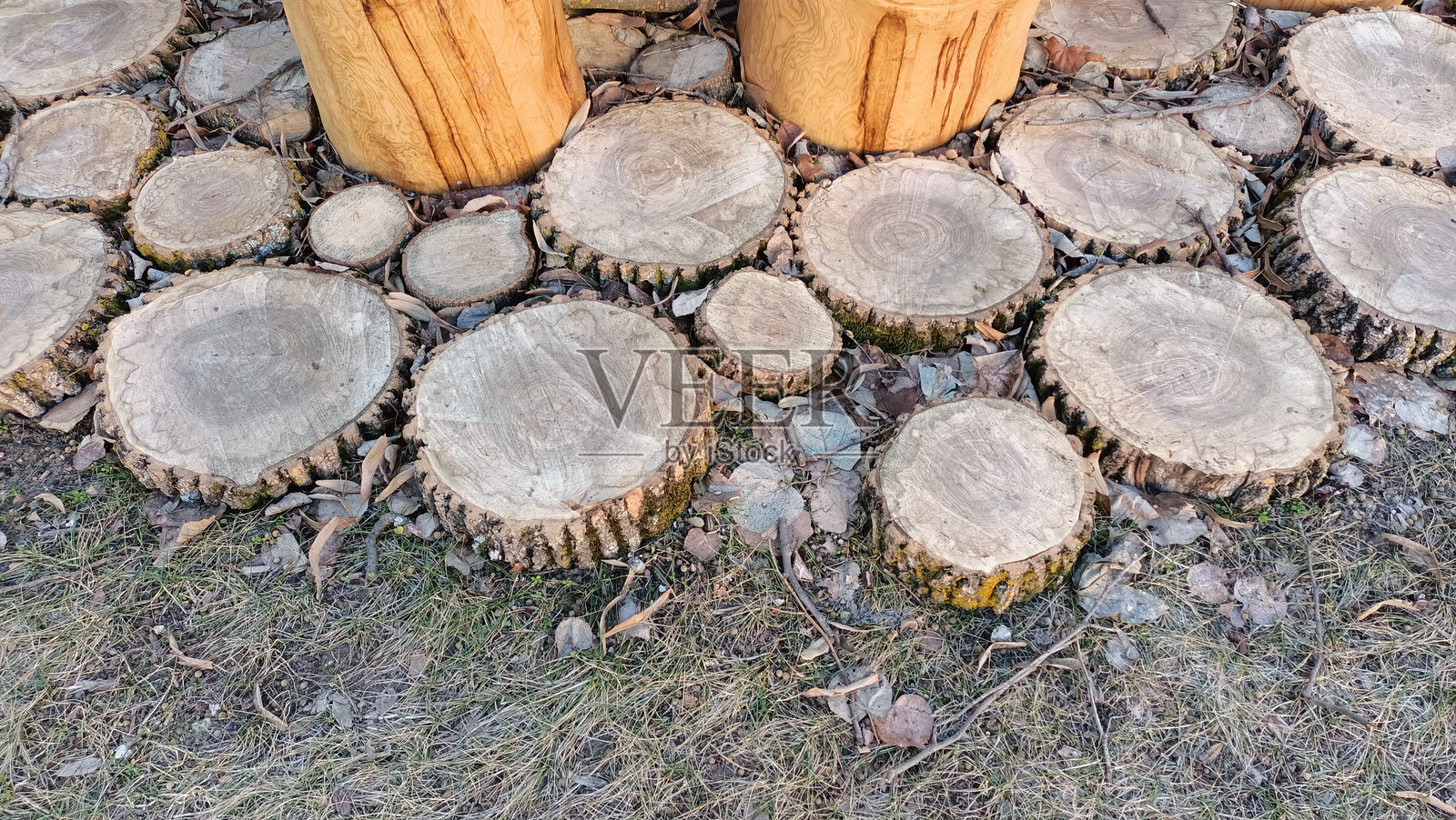 这是一个精美制作的天然木桩小径设计，专为花园而设。照片摄影图片