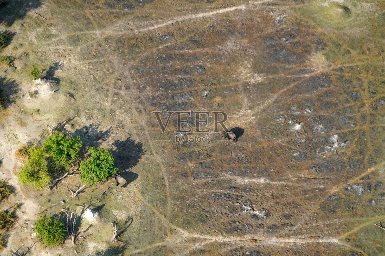 博茨瓦纳奥卡万戈三角洲上空的飞行照片摄影图片