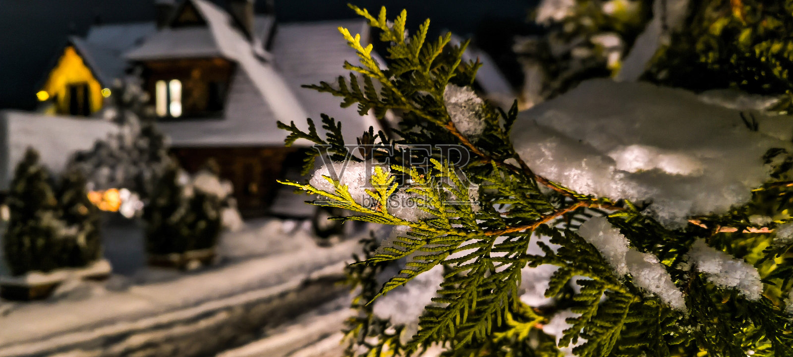 村庄里的冬天。树枝和房屋屋顶上的雪。塔特拉山的冬季童话。滑雪度假。照片摄影图片