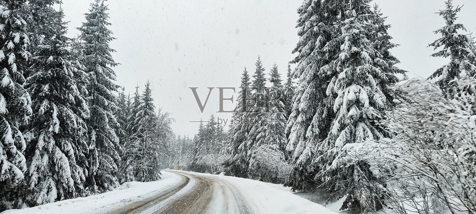 雪覆盖的森林道路在降雪中。冬季旅行照片摄影图片