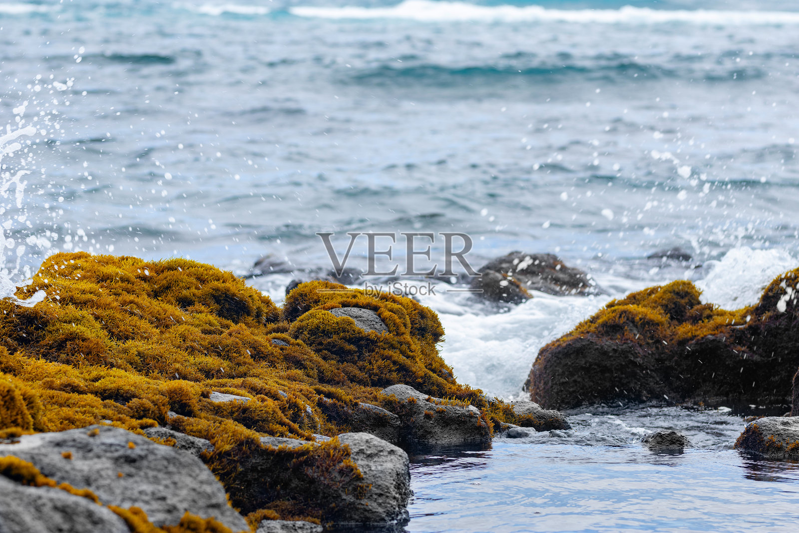 夏威夷的黑色熔岩苔藓岩石与海浪。照片摄影图片