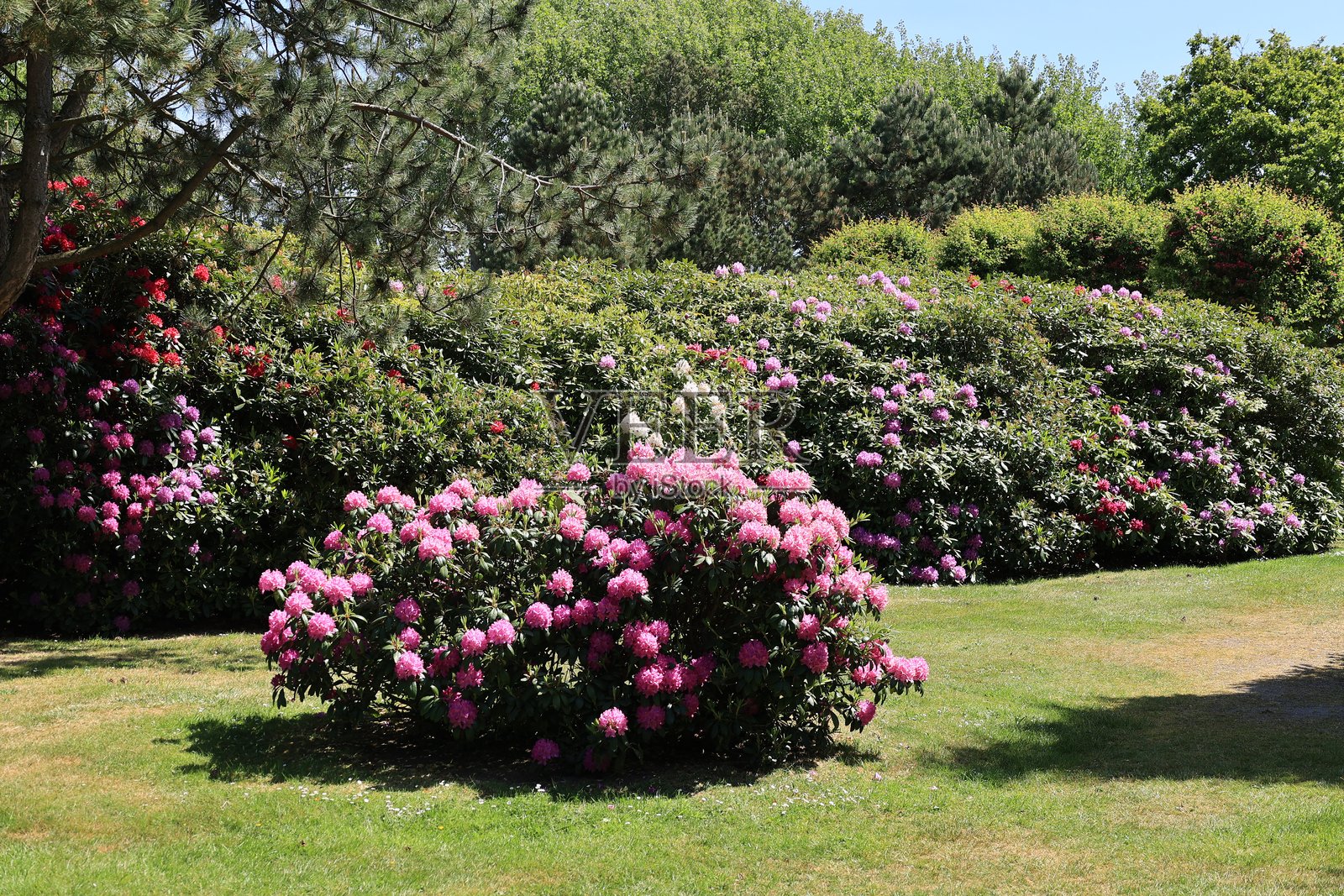 西尔特岛坎彭附近的海岸风景照片摄影图片