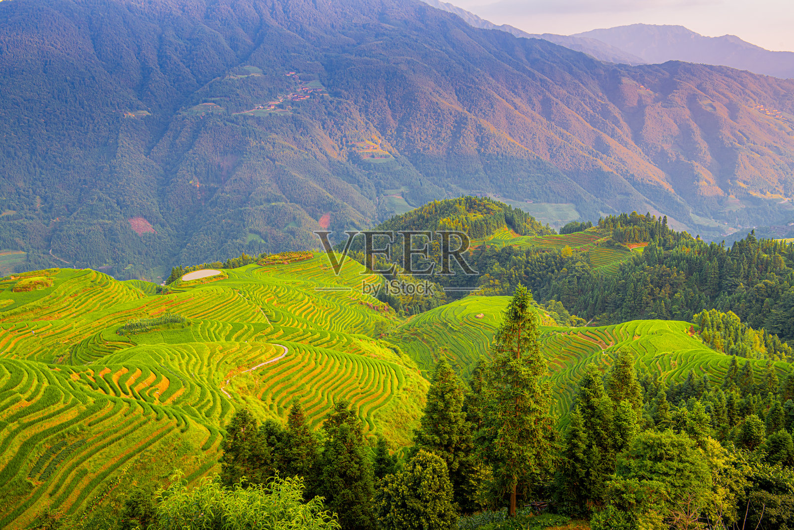 龙脊梯田：自然的艺术之美照片摄影图片