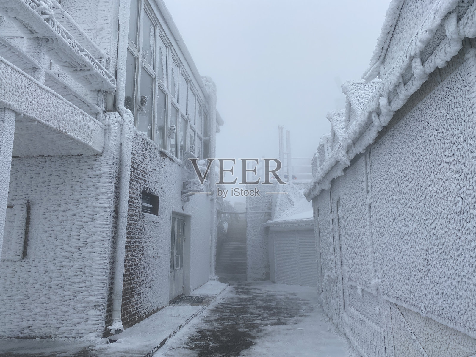 雾天中被霜覆盖的建筑物照片摄影图片