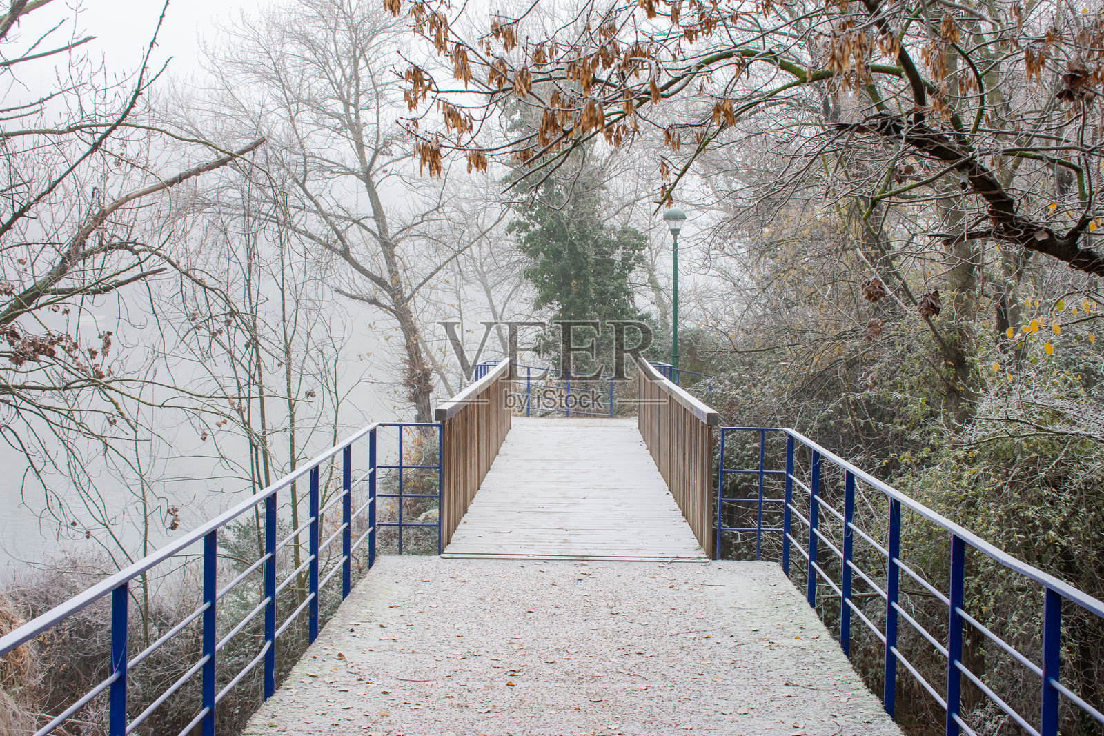 雾蒙蒙的早晨，森林中的木质和金属人行桥，周围无人。照片摄影图片