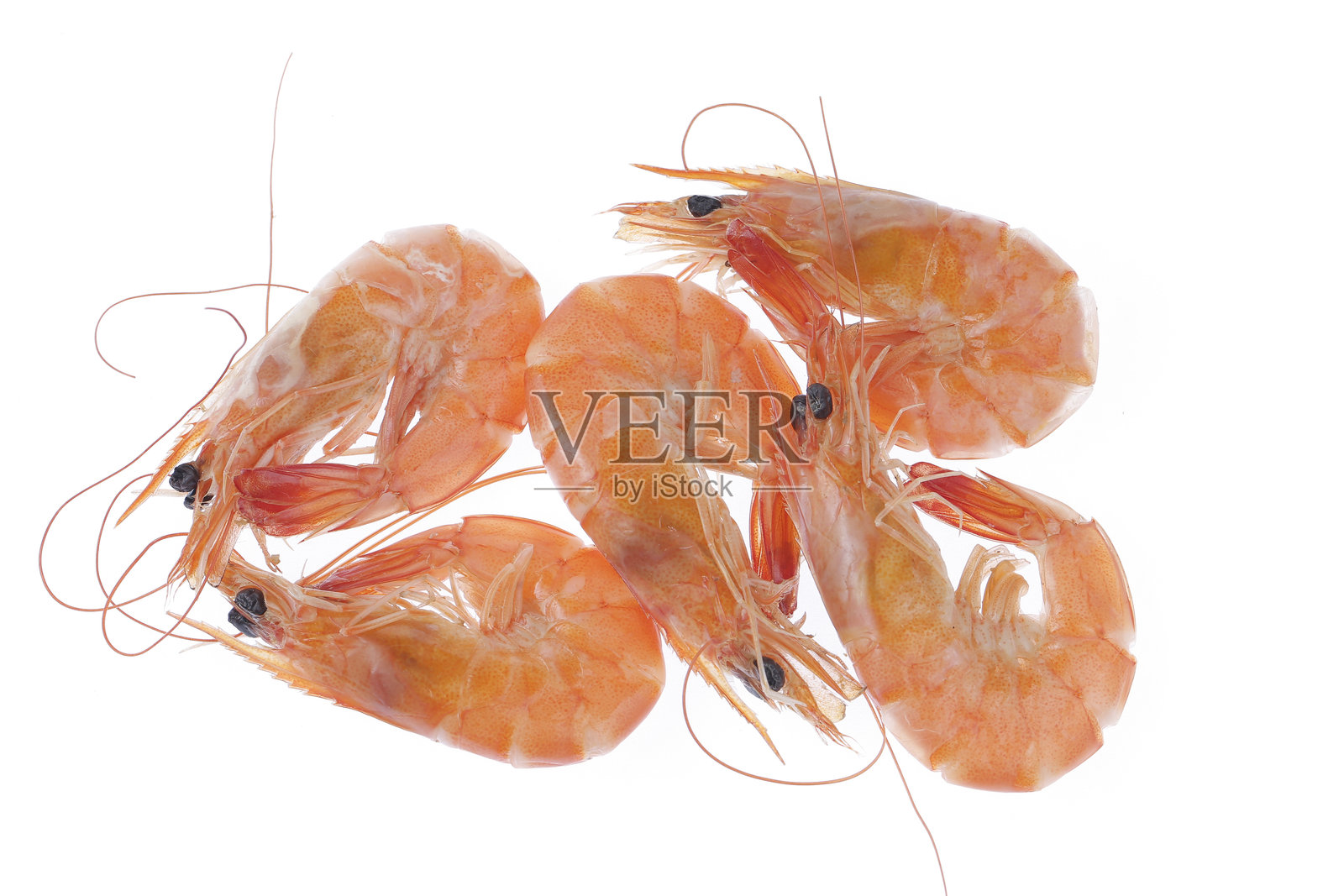 虾照片摄影图片