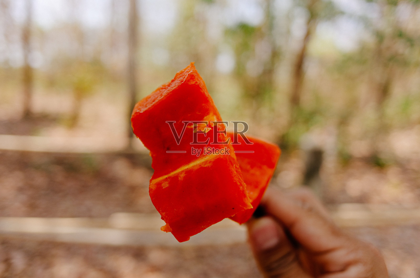 亚洲甜木瓜照片摄影图片