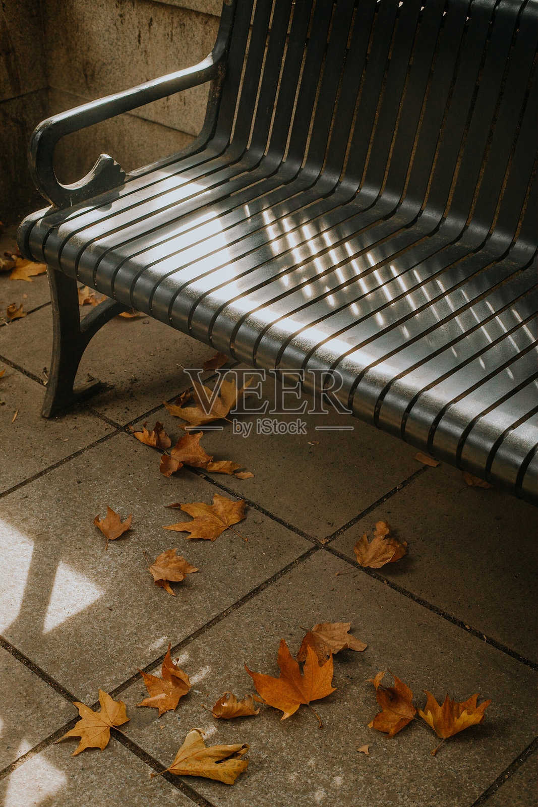 秋天的落叶照片摄影图片