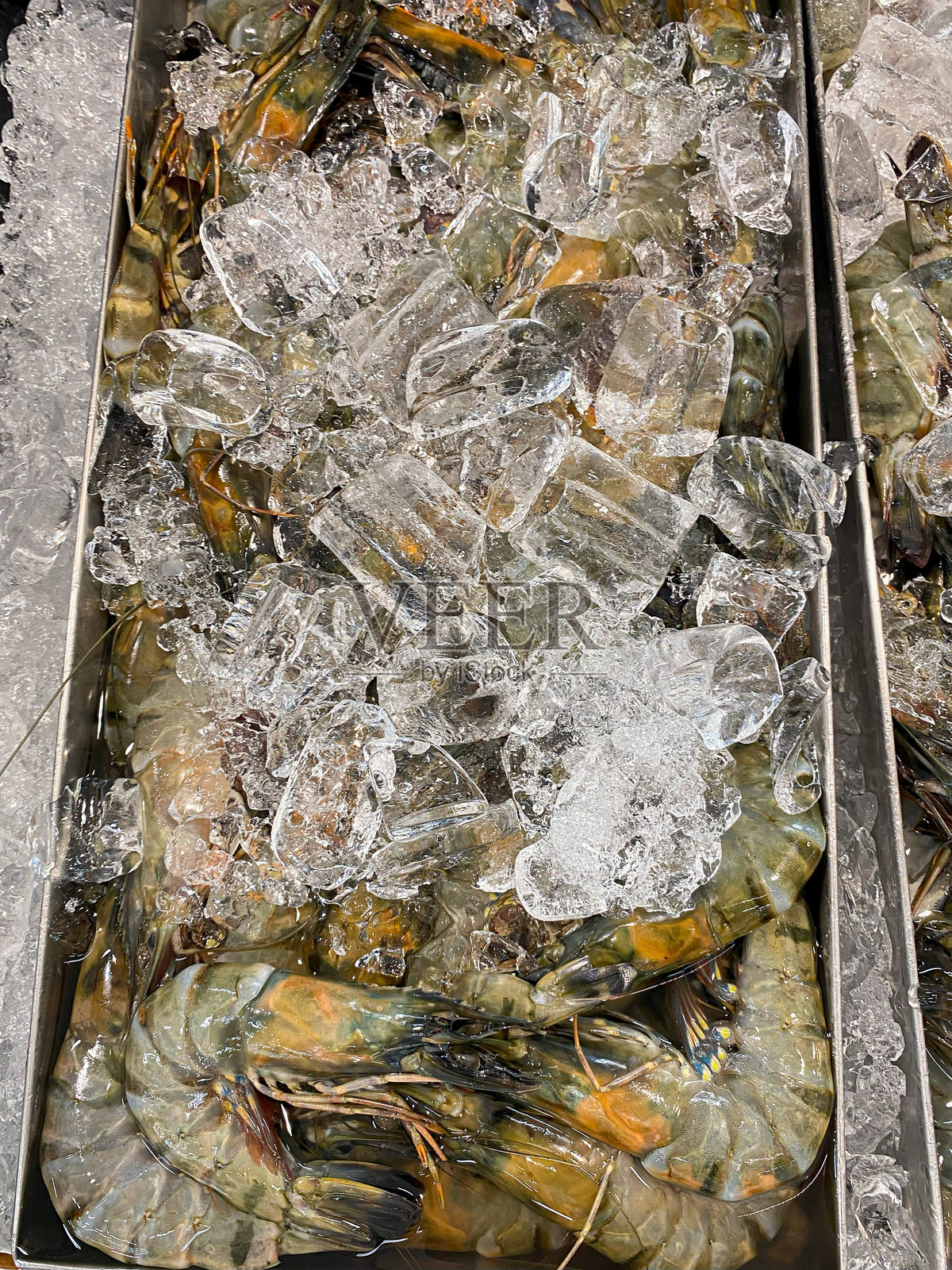 高角度视图的生虾和冰块放在金属托盘中，准备出售。照片摄影图片