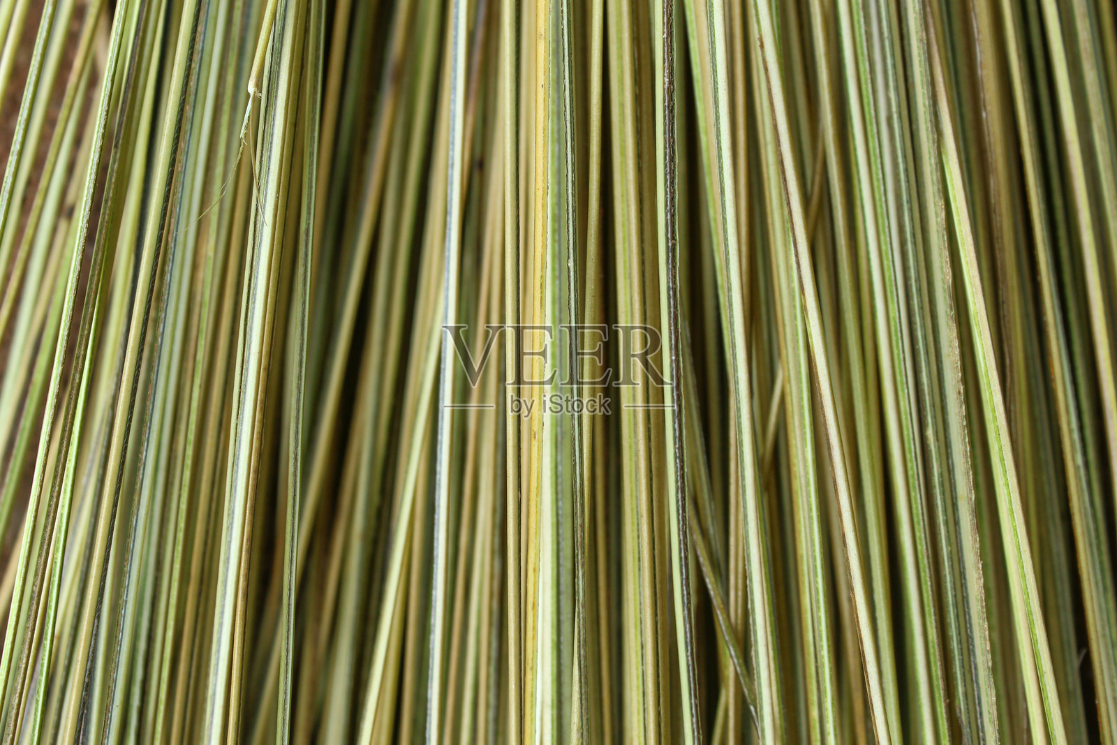 新扫帚的特写背景，采用绿色椰子叶制成的纹理和抽象背景照片摄影图片