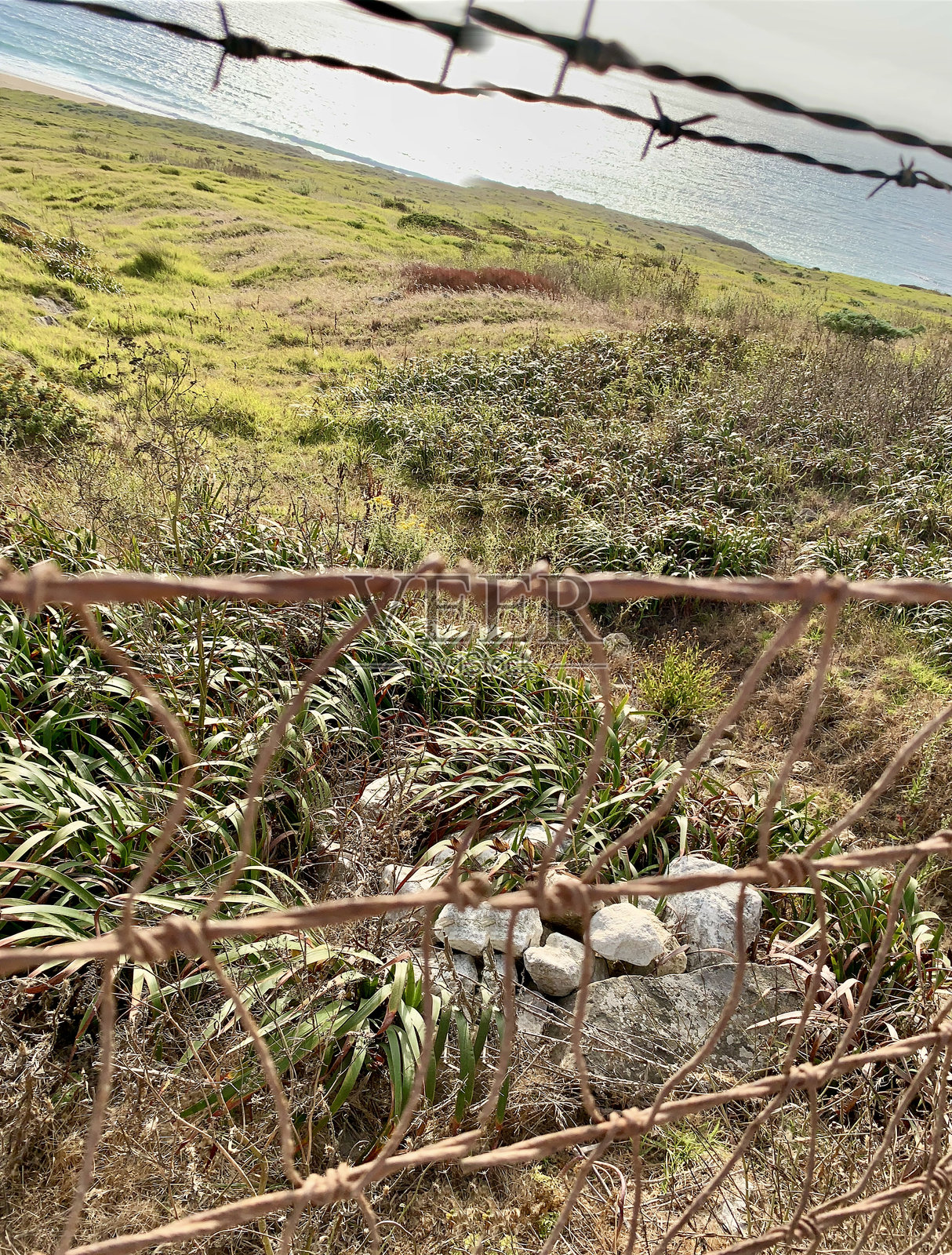 海岸风景与栅栏照片摄影图片