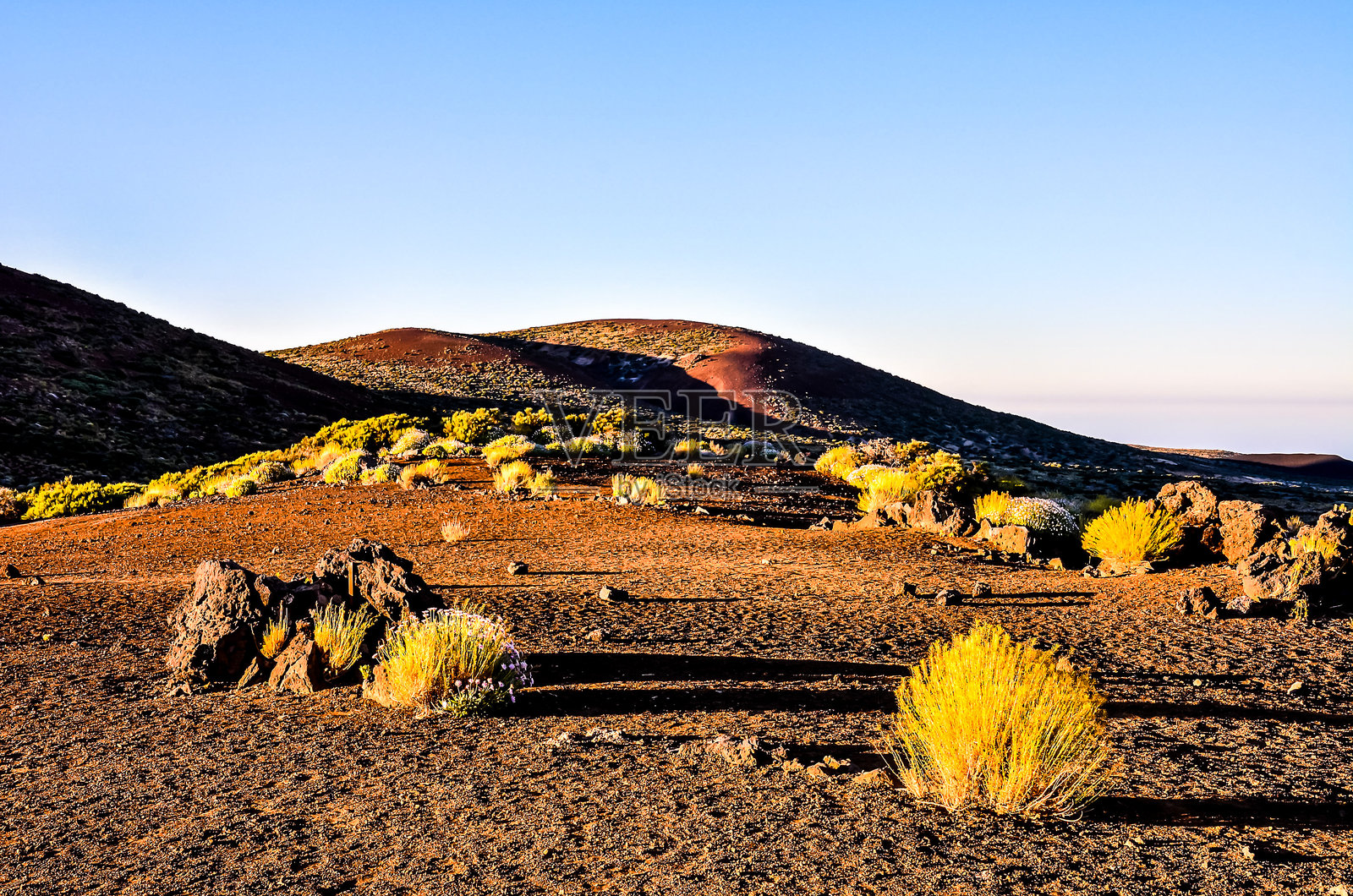 沙漠景观，背景有几棵树和一座山。照片摄影图片