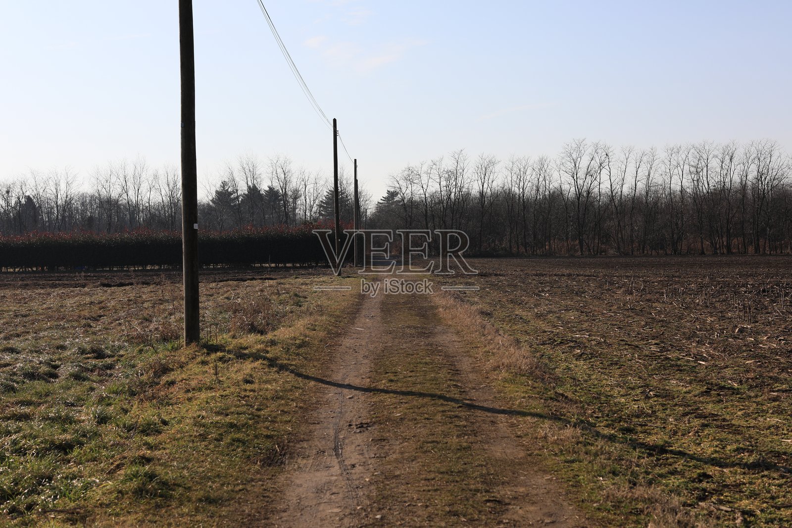 伦巴第乡村的冬天照片摄影图片