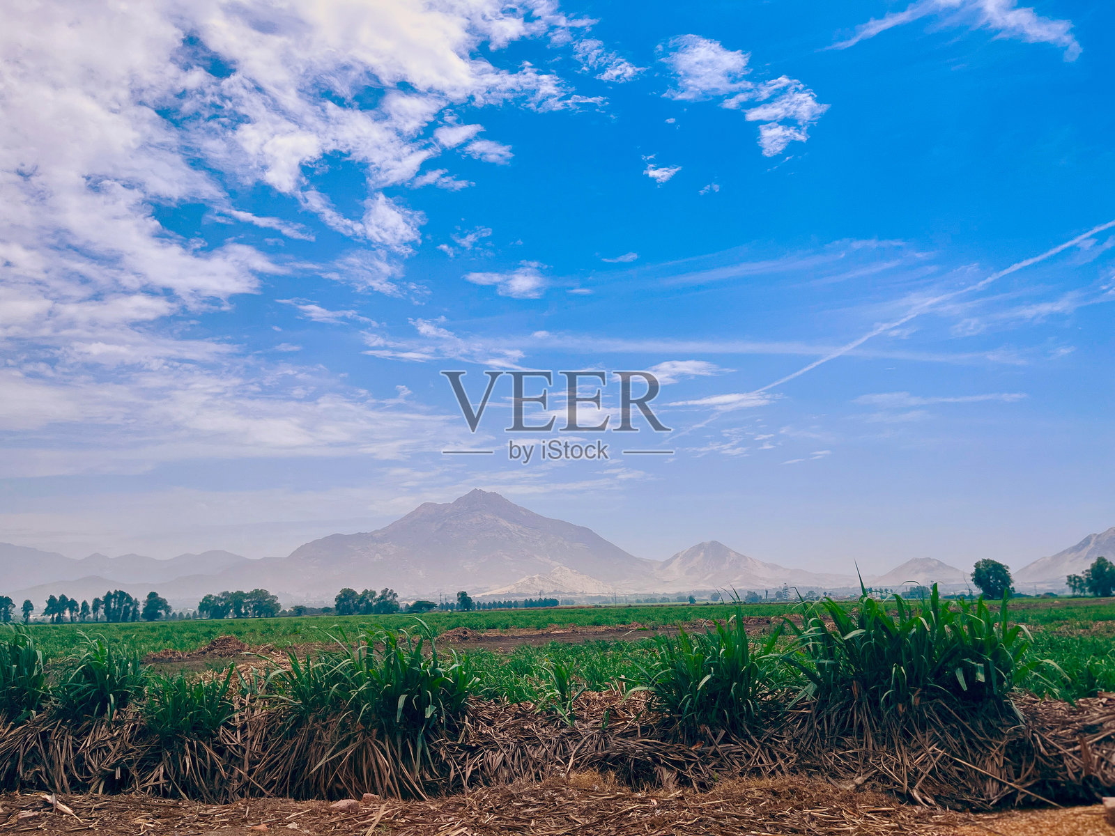 农业田地照片摄影图片