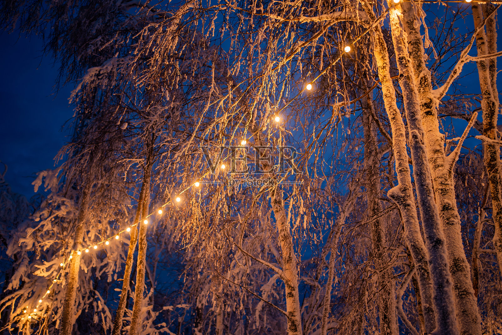 夜晚雪覆盖的树上挂着发光的串灯照片摄影图片