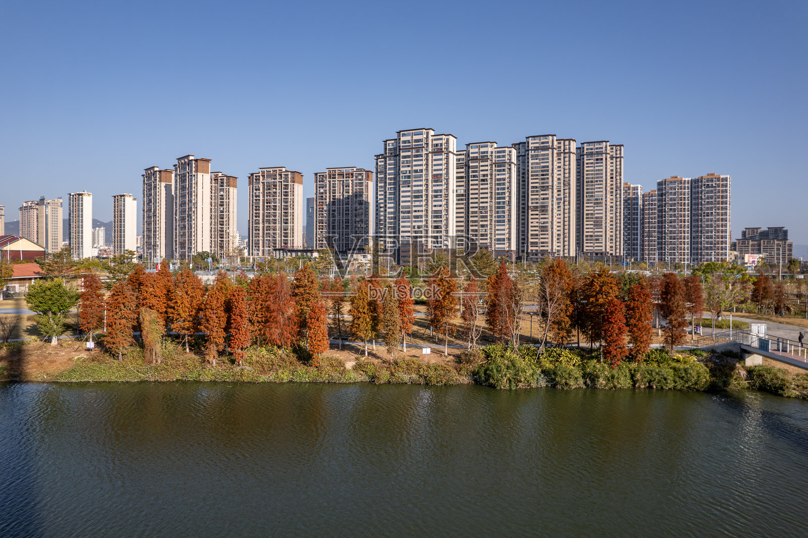 阳光明媚的日子里，城市建筑和落羽松森林在湖面上的倒影照片摄影图片