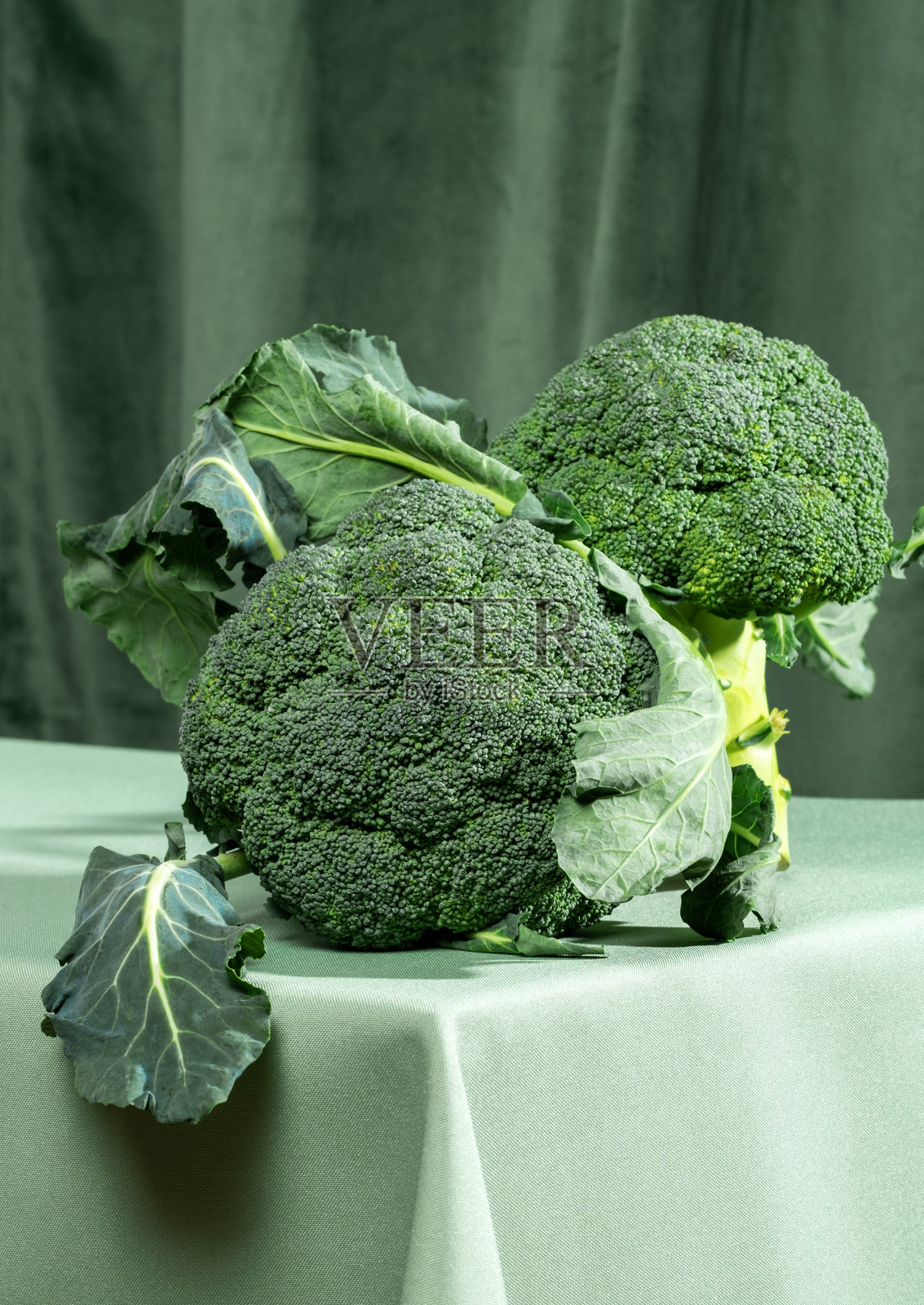 新鲜生西兰花特写，放在绿色桌布的桌子上，背景是绿色窗帘。照片摄影图片