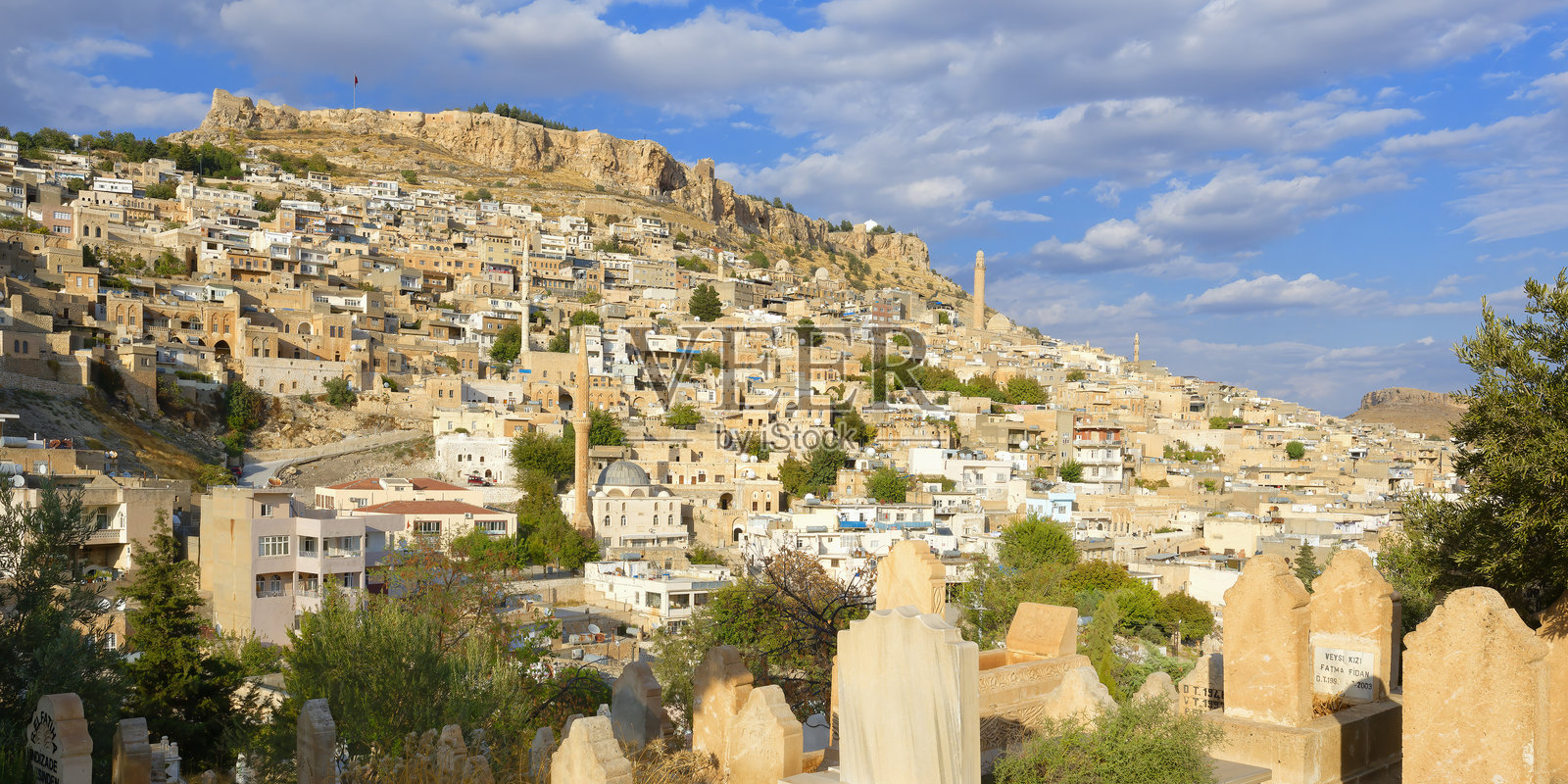 马尔丁照片摄影图片