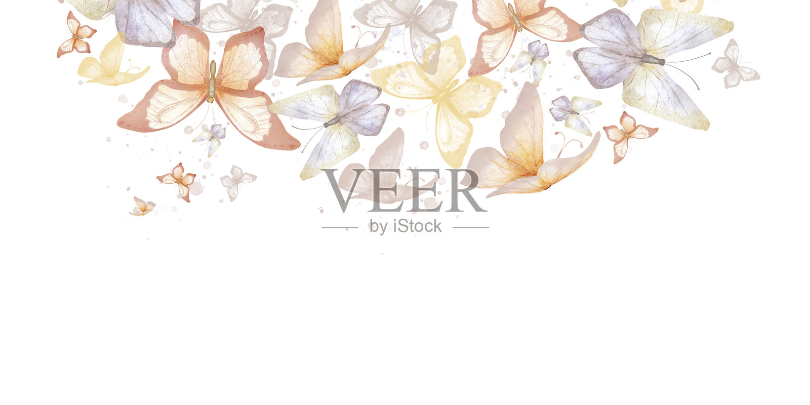 小巧的翩翩起舞的蝴蝶和蛾子。水彩数字插图。假日贺卡上的蝴蝶，呈现出柔和的粉色、米色和紫色，背景为白色。插画图片素材