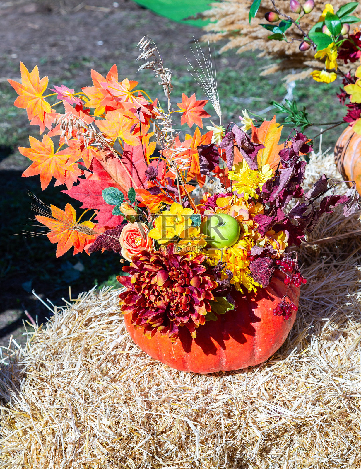 色彩缤纷的花卉、植物和苹果装饰组合照片摄影图片