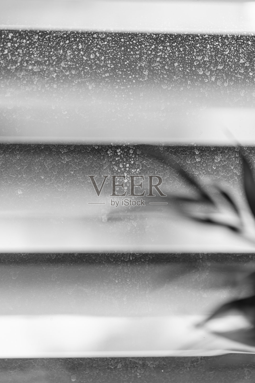 窗帘上的水滴特写照片摄影图片