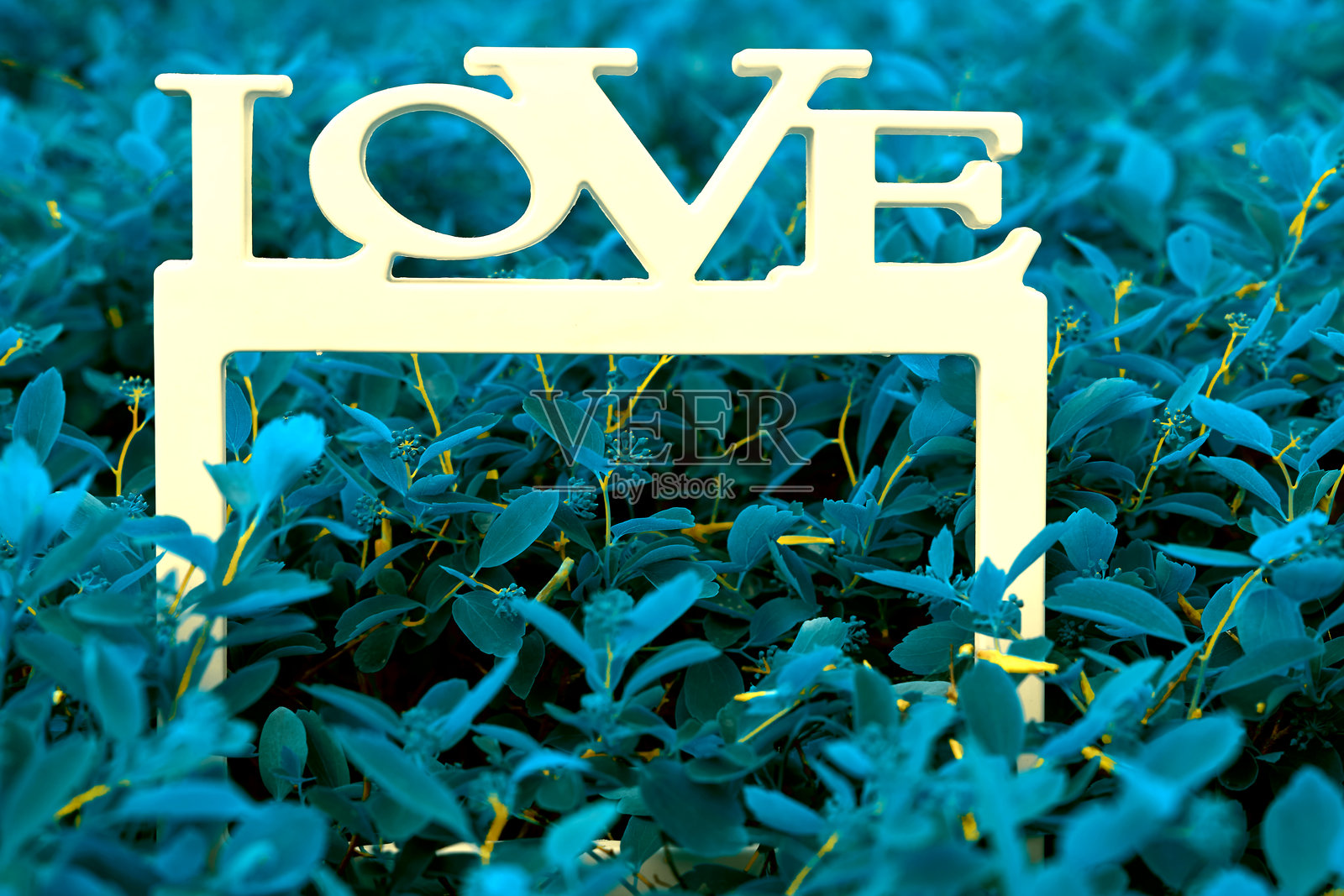 白色框架上写着“爱”。翡翠草地照片摄影图片