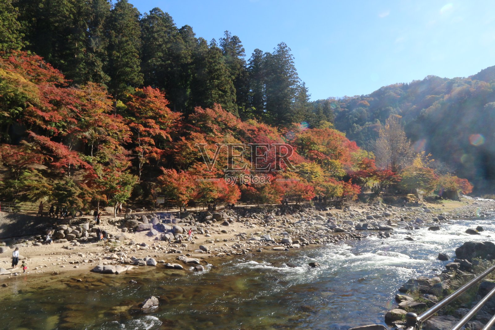 秋天照片摄影图片