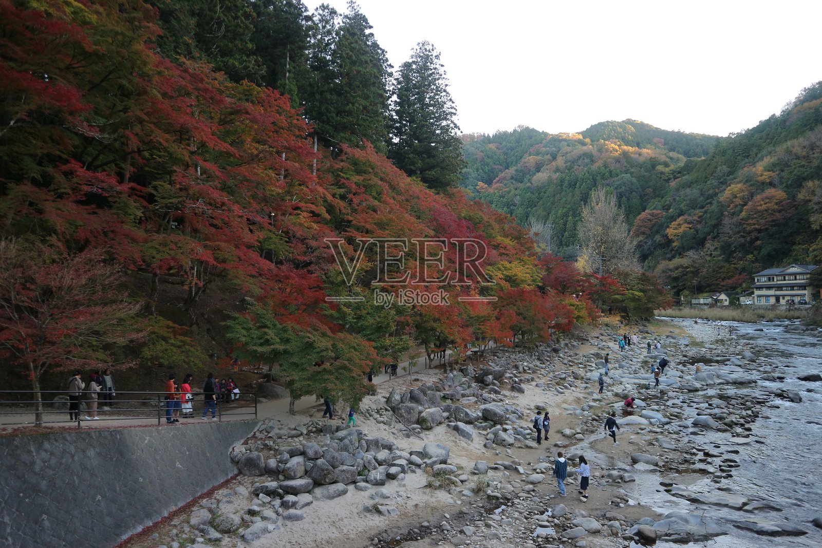 秋天的色彩照片摄影图片