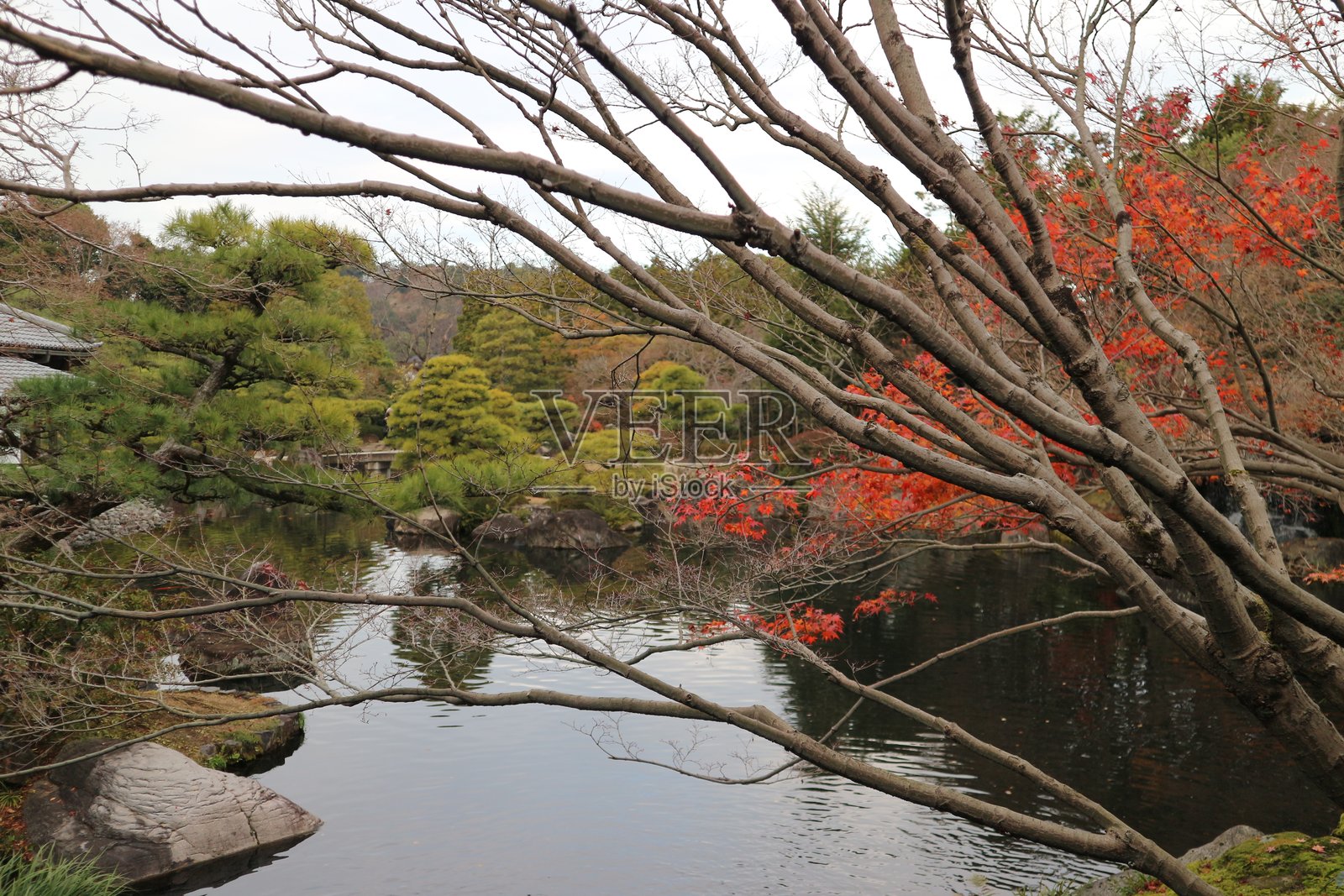 接近冬季照片摄影图片