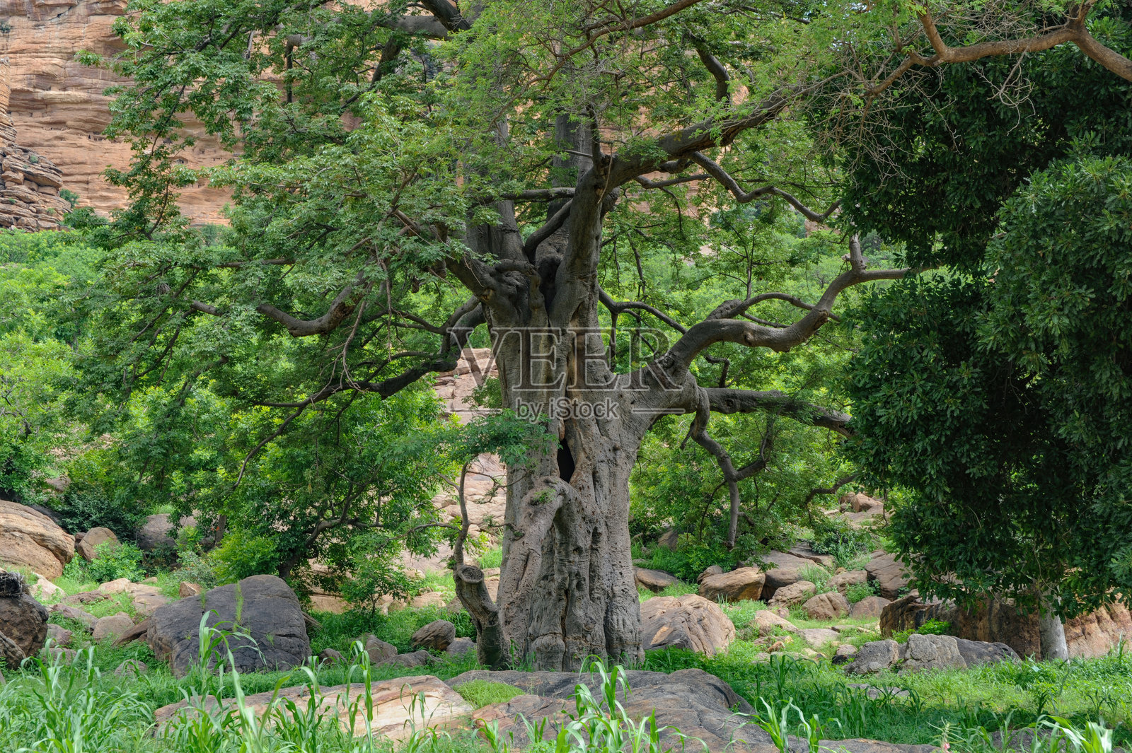 马里的内陆风景照片摄影图片