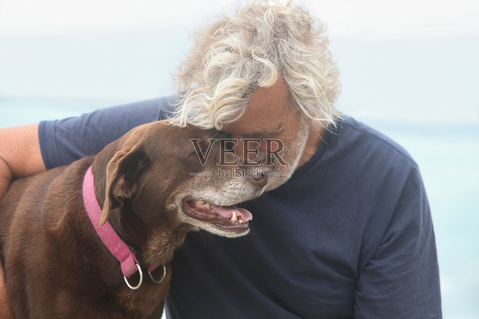 户外与狗一起的老年男性照片摄影图片