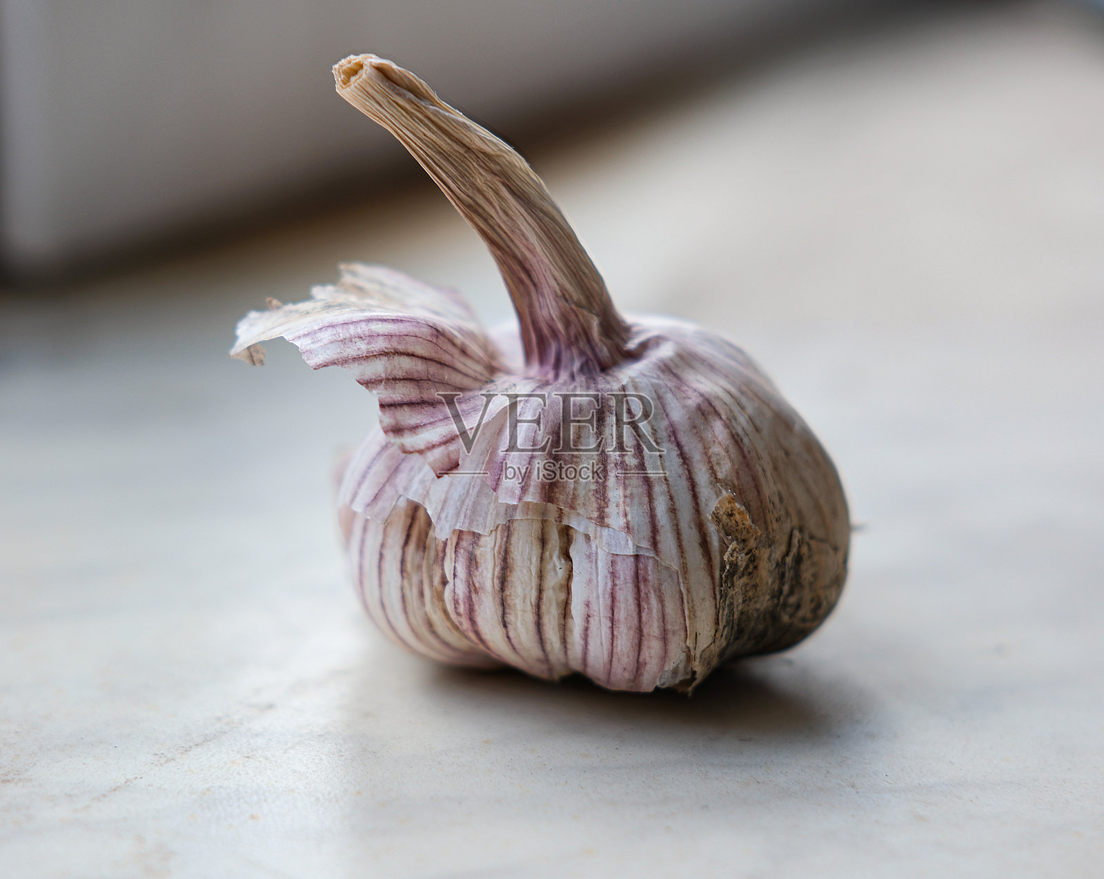 一头带条纹外皮的蒜头照片摄影图片