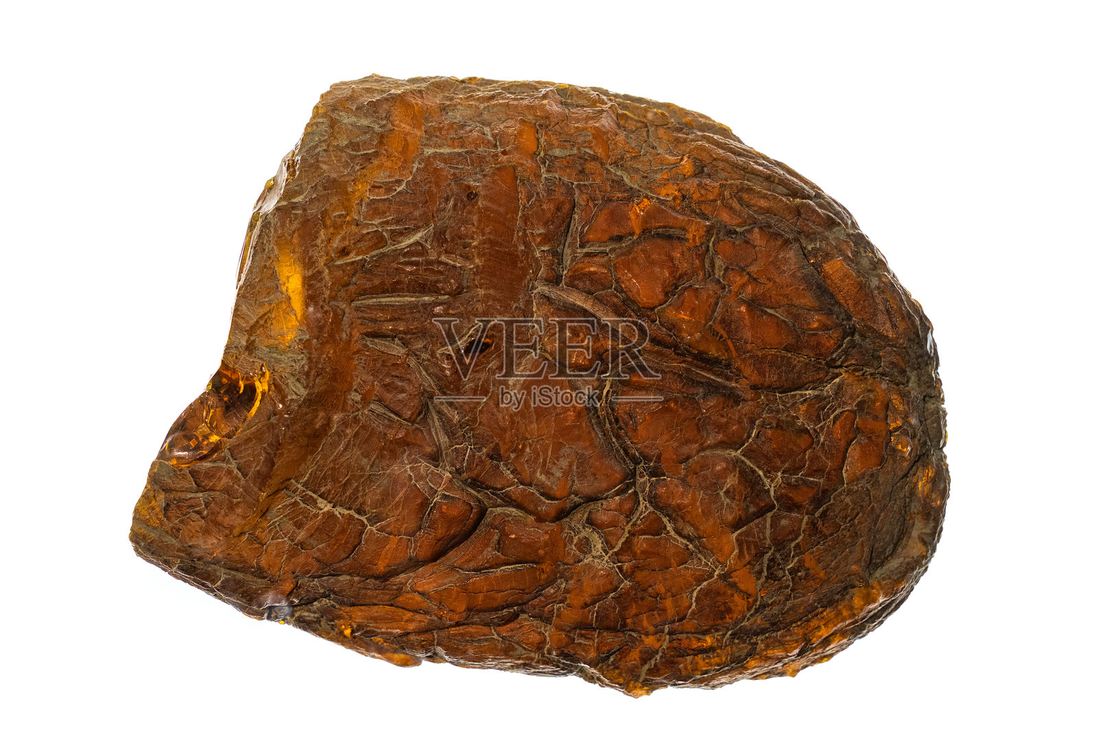 琥珀中的古代昆虫照片摄影图片