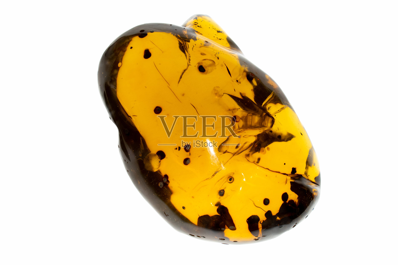 琥珀中的古代昆虫照片摄影图片