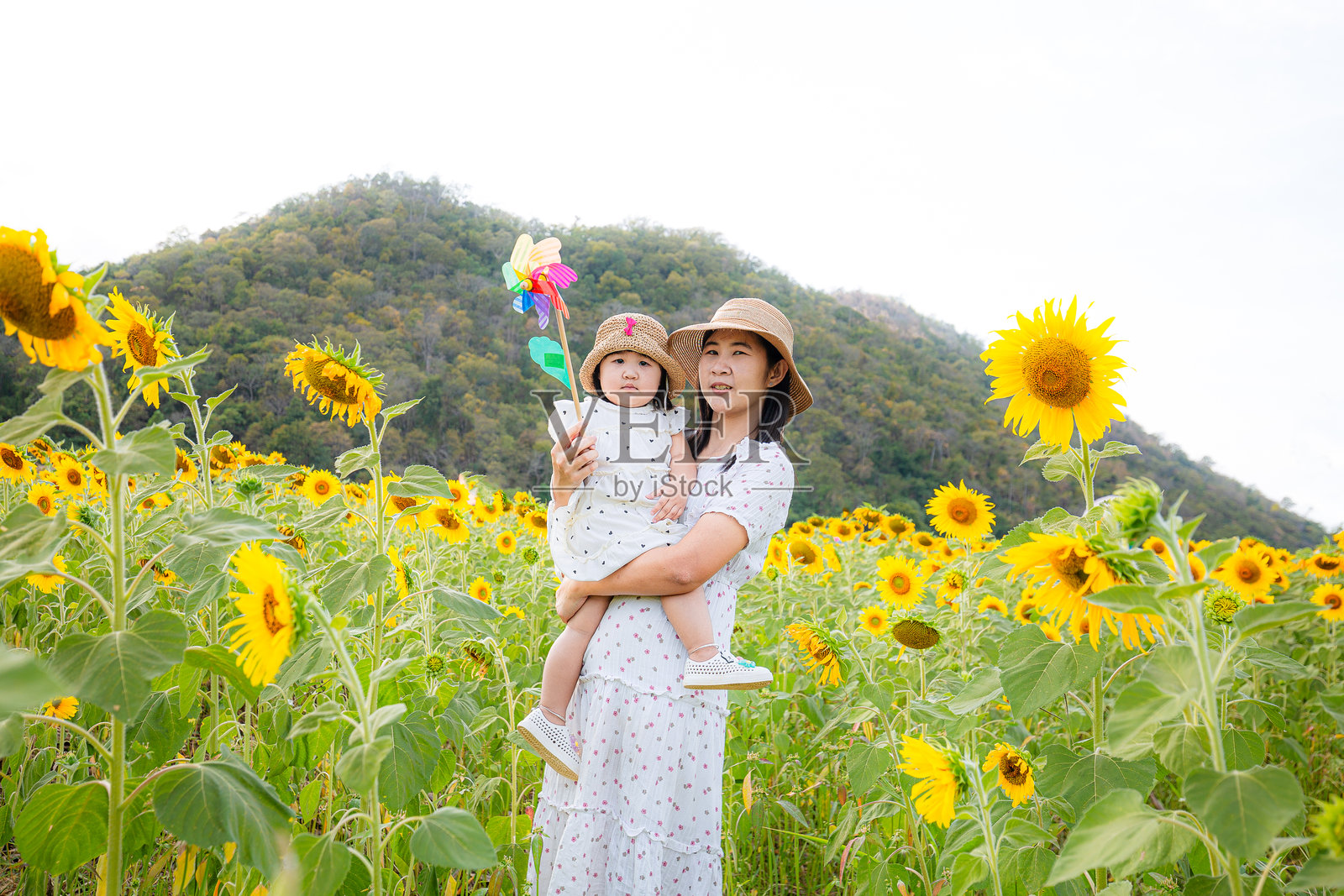 母亲在向日葵田里抱着女儿，悠闲的母女在向日葵田里度过闲暇时光照片摄影图片