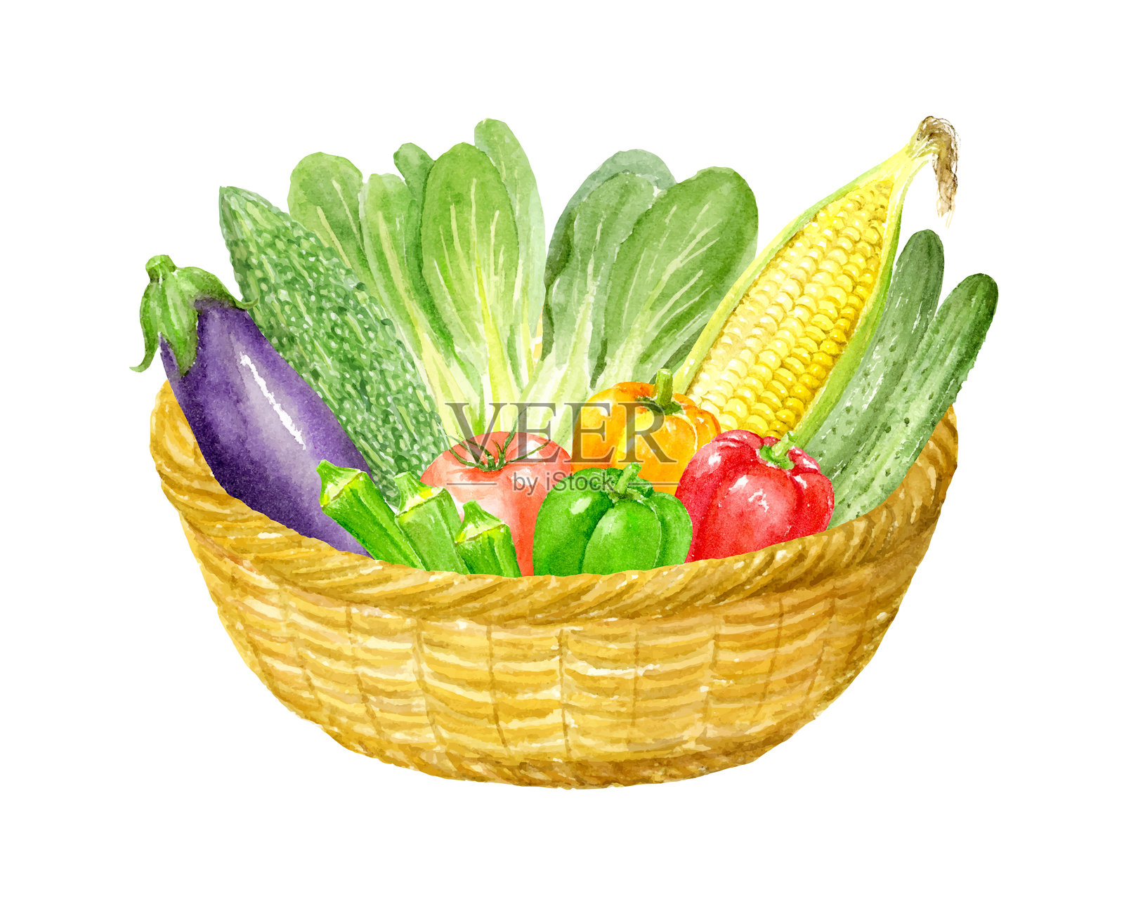 水彩插图，展示了许多夏季蔬菜在篮子里插画图片素材
