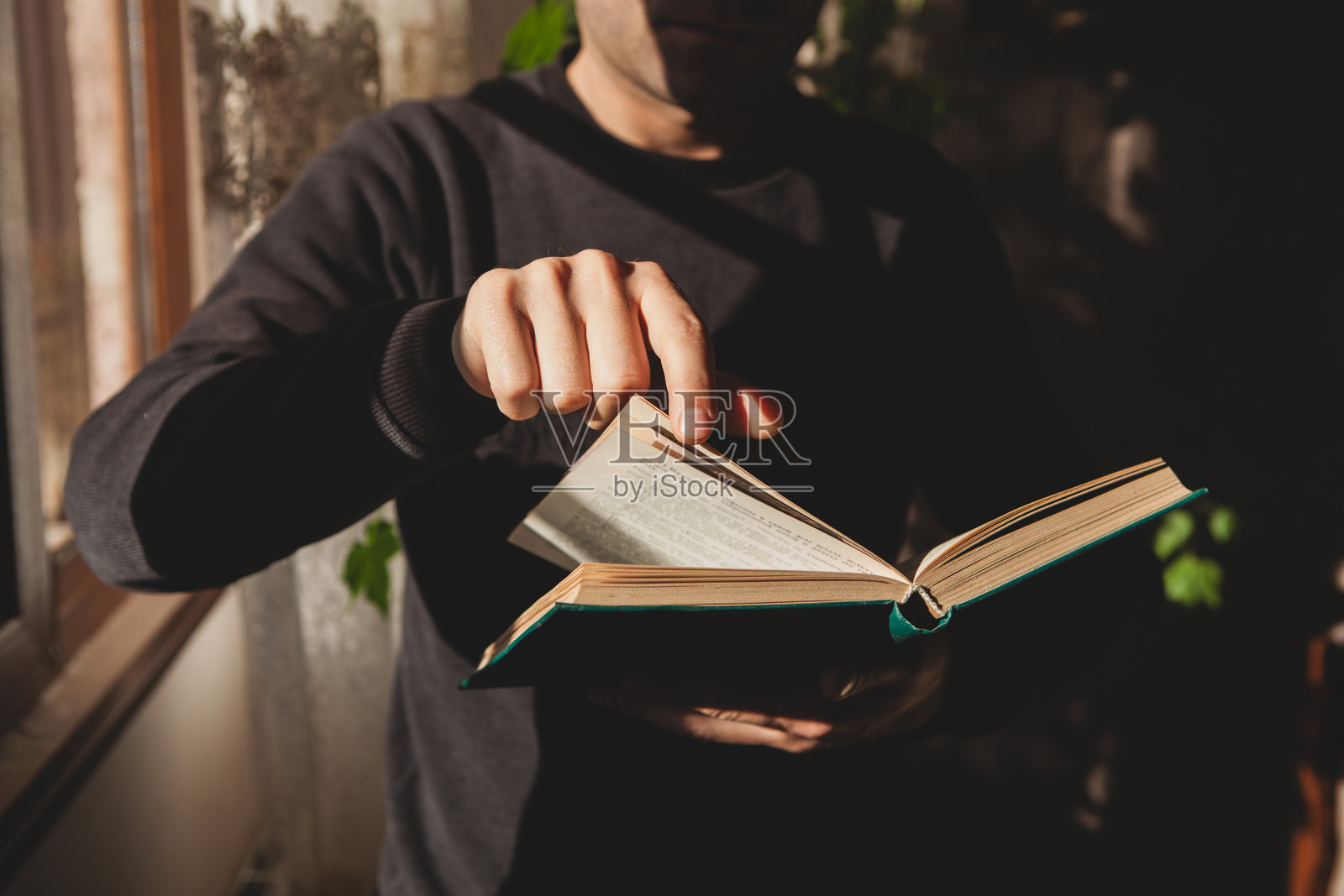 早晨，一个男人在阅读书籍照片摄影图片